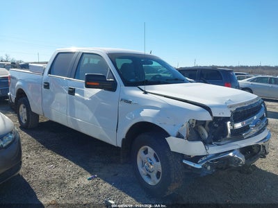 FORD F-150 2014