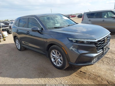 HONDA CR-V 2024