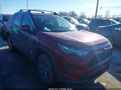 TOYOTA RAV4 2024