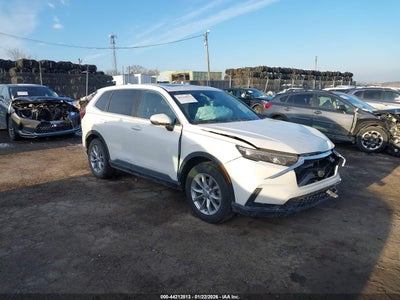 HONDA CR-V 2024