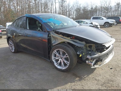 TESLA MODEL Y 2024