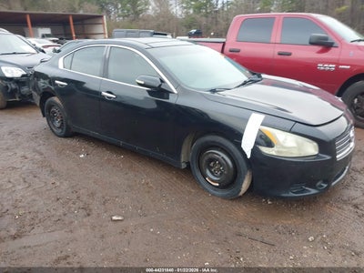 NISSAN MAXIMA 2010