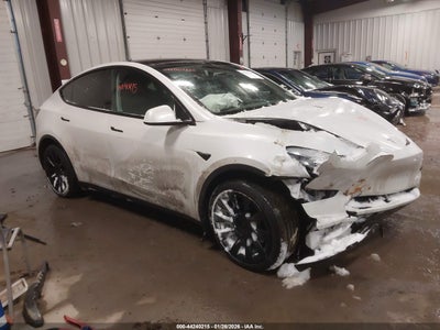 TESLA MODEL Y 2021