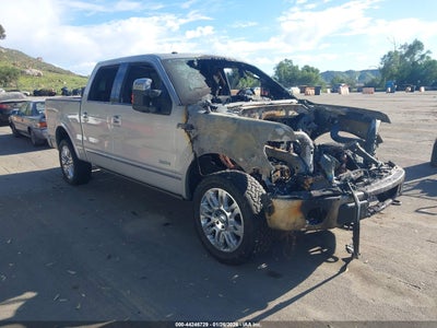 FORD F-150 2014