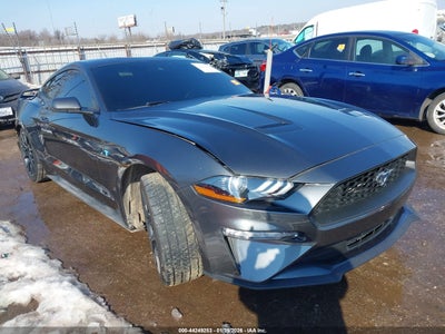 FORD MUSTANG 2019