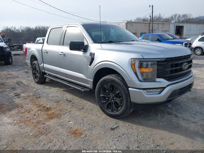 FORD F-150 2023