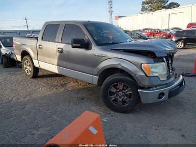 FORD F-150 2010