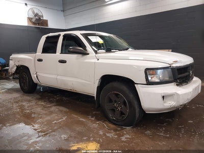 RAM DAKOTA 2011