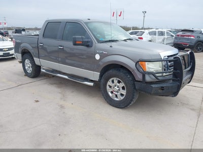 FORD F-150 2009