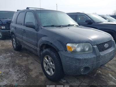 FORD ESCAPE 2005