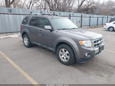 FORD ESCAPE 2010