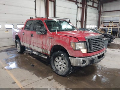 FORD F-150 2010