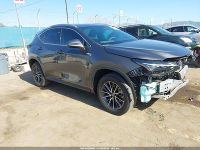 LEXUS NX 2023