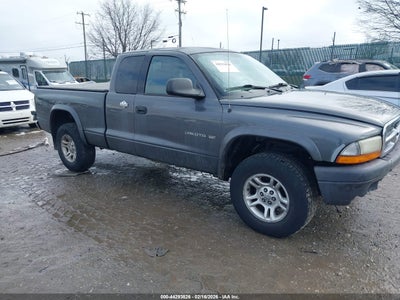 DODGE DAKOTA 2002