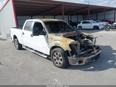 FORD F-150 2014
