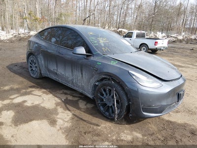 TESLA MODEL Y 2021