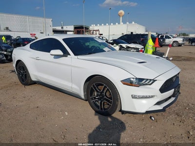 FORD MUSTANG 2019