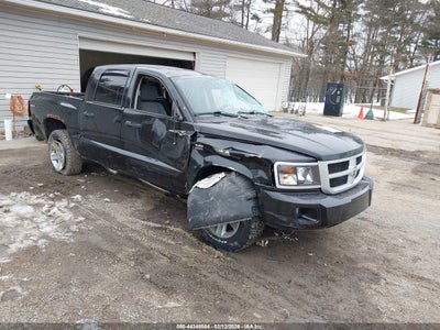 RAM DAKOTA 2011