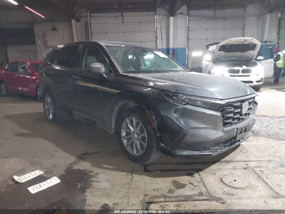 HONDA CR-V 2025
