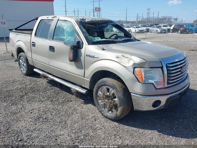 FORD F-150 2010