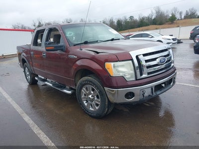 FORD F-150 2010