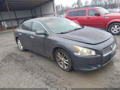 NISSAN MAXIMA 2011