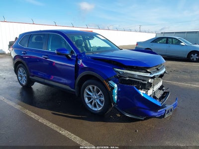 HONDA CR-V 2024