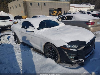 FORD MUSTANG 2020