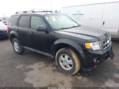 FORD ESCAPE 2010