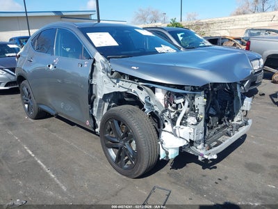 LEXUS NX 450H+ 2024