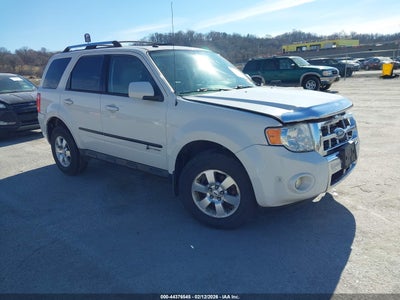 FORD ESCAPE HYBRID 2010