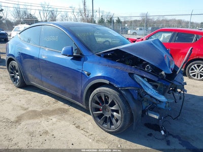 TESLA MODEL Y 2021