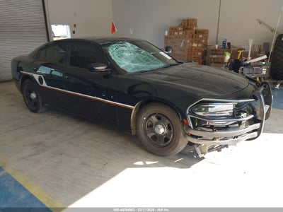DODGE CHARGER 2023
