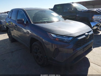 TOYOTA RAV4 2024