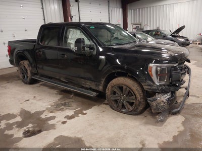 FORD F-150 2023