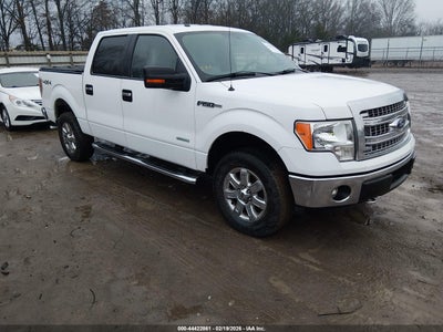 FORD F-150 2014