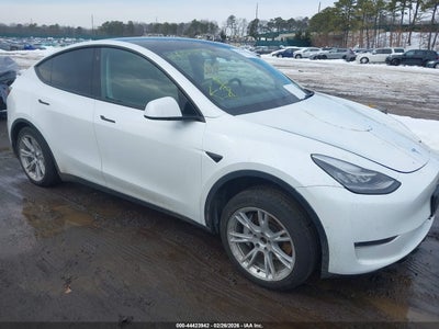 TESLA MODEL Y 2021