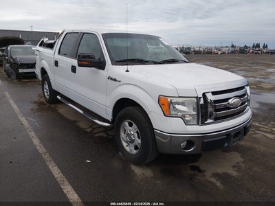 FORD F-150 2009