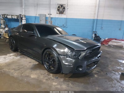 FORD SHELBY GT500 2013
