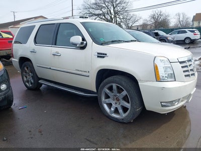 CADILLAC ESCALADE 2007