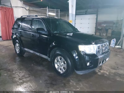 FORD ESCAPE 2010