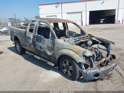 FORD F-150 2009