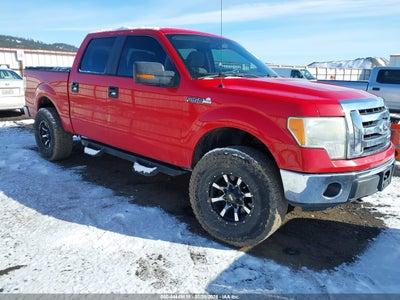FORD F-150 2010