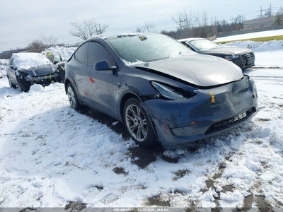 TESLA MODEL Y 2020