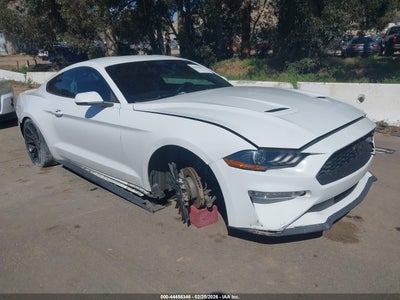 FORD MUSTANG 2019