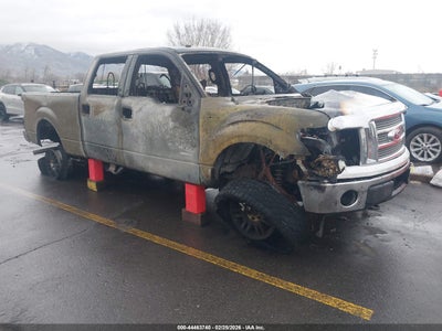 FORD F-150 2011