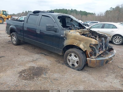 FORD F-150 2010