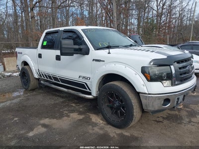 FORD F-150 2009