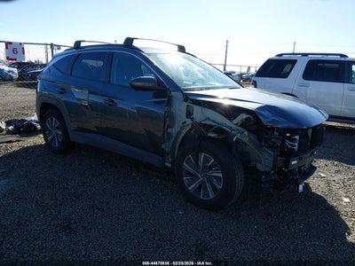 HYUNDAI TUCSON HYBRID 2024
