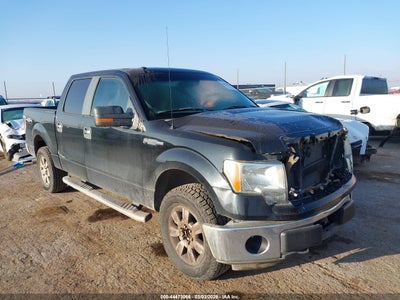 FORD F-150 2011